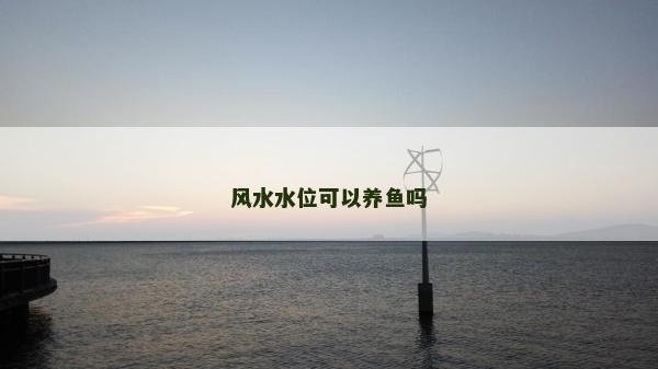 风水水位可以养鱼吗