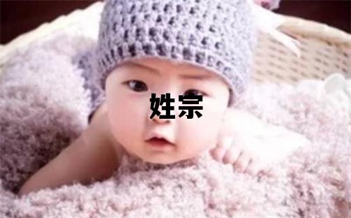 姓宗叫什么名字好 姓宗的女孩有气质的名字