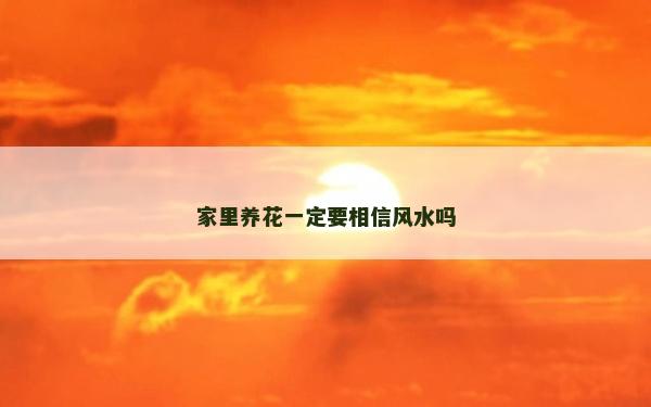 家里养花一定要相信风水吗