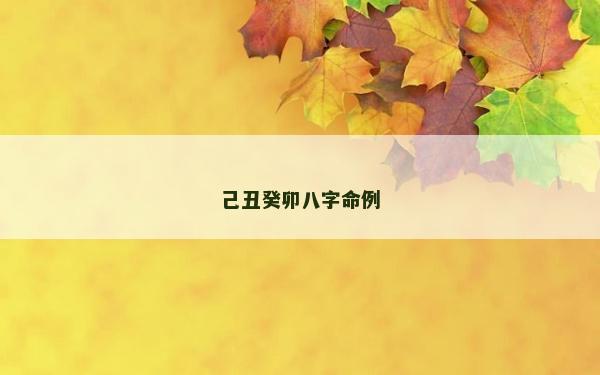 己丑癸卯八字命例