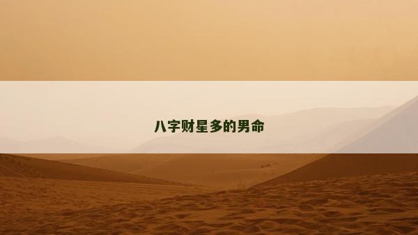 八字财星多的男命