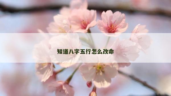 知道八字五行怎么改命
