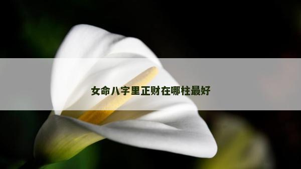 女命八字里正财在哪柱最好