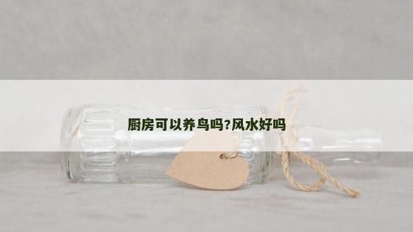 厨房可以养鸟吗?风水好吗