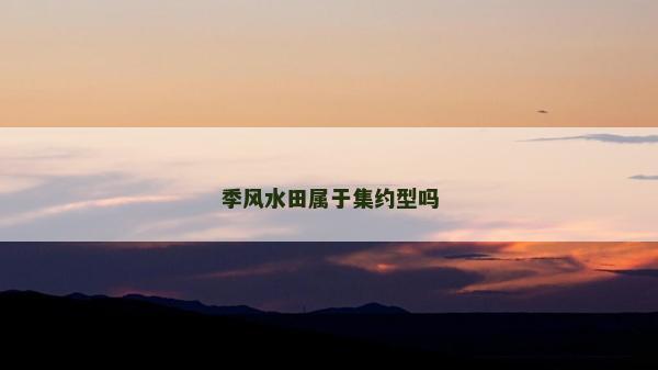 季风水田属于集约型吗