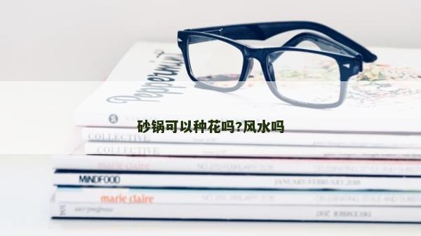 砂锅可以种花吗?风水吗