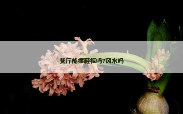 餐厅能摆鞋柜吗?风水吗