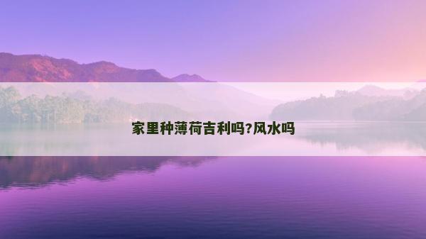 家里种薄荷吉利吗?风水吗