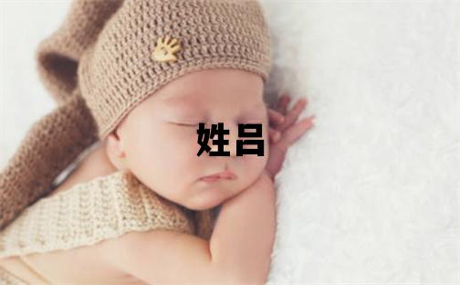 姓吕叫什么名字好 姓吕的男孩有灵气的名字