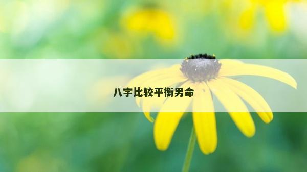八字比较平衡男命