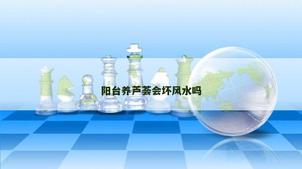 阳台养芦荟会坏风水吗
