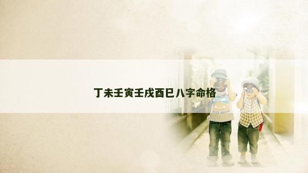 丁未壬寅壬戌酉巳八字命格