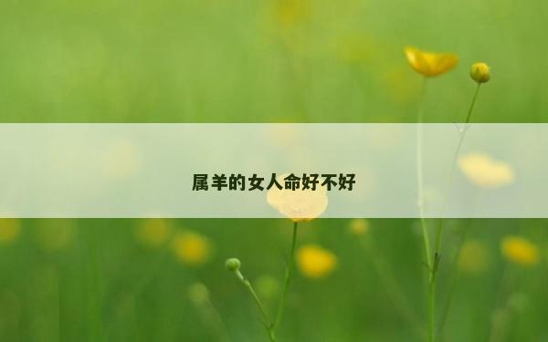 属羊的女人命好不好