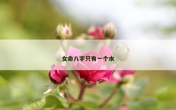 女命八字只有一个水