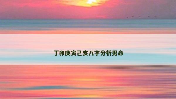 丁卯庚寅己亥八字分析男命