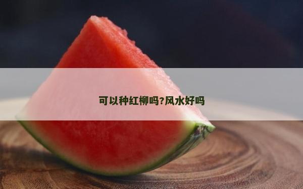 可以种红柳吗?风水好吗