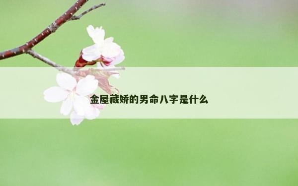 金屋藏娇的男命八字是什么
