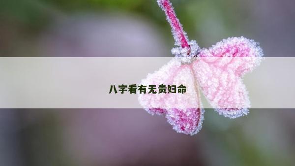 八字看有无贵妇命