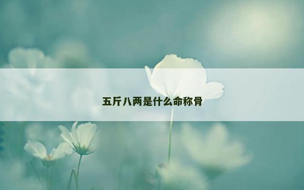 五斤八两是什么命称骨