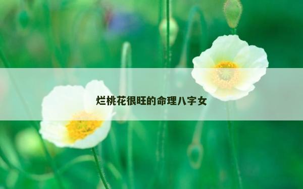 烂桃花很旺的命理八字女
