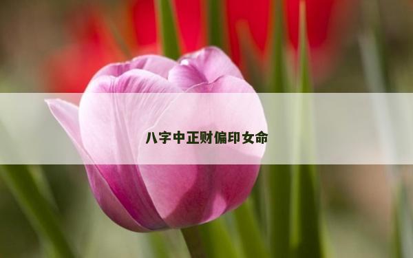 八字中正财偏印女命