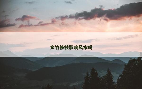 文竹修枝影响风水吗