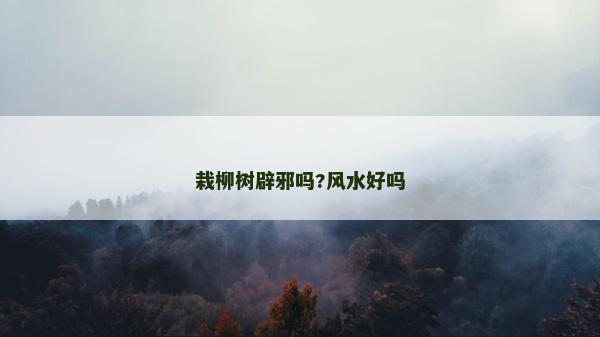 栽柳树辟邪吗?风水好吗