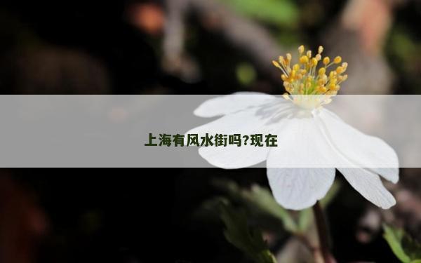 上海有风水街吗?现在