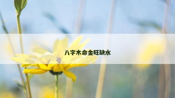 八字木命金旺缺水