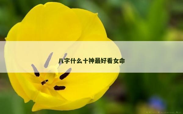 八字什么十神最好看女命
