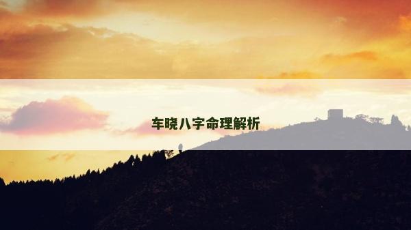 车晓八字命理解析