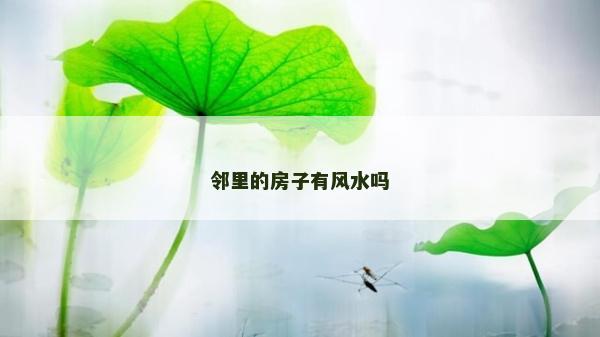 邻里的房子有风水吗