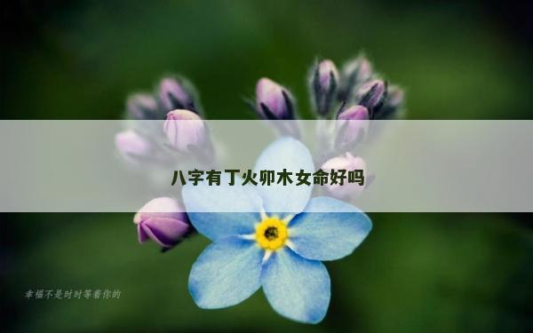 八字有丁火卯木女命好吗