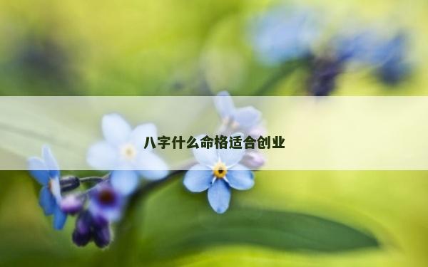 八字什么命格适合创业