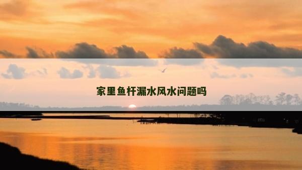 家里鱼杆漏水风水问题吗