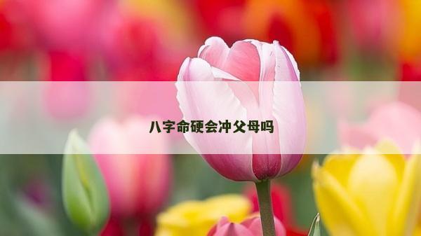 八字命硬会冲父母吗