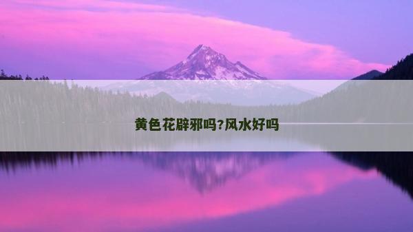 黄色花辟邪吗?风水好吗
