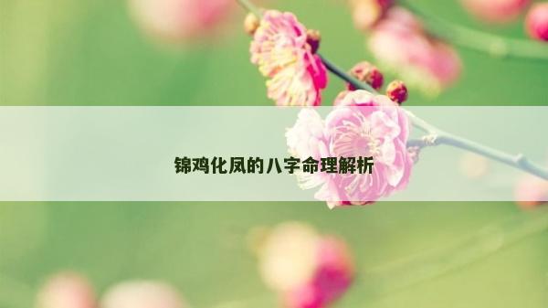 锦鸡化凤的八字命理解析