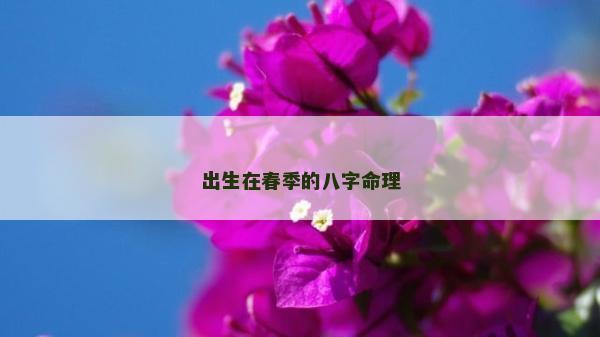 出生在春季的八字命理