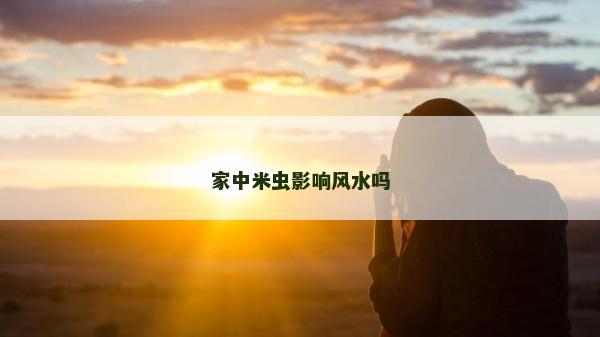 家中米虫影响风水吗