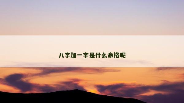 八字加一字是什么命格呢