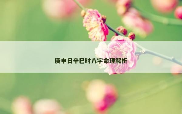 庚申日辛巳时八字命理解析
