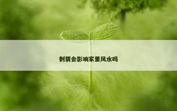 刺猬会影响家里风水吗