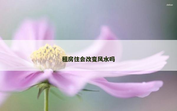 租房住会改变风水吗
