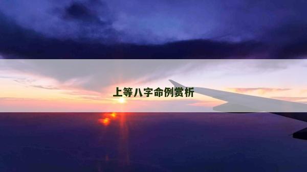 上等八字命例赏析