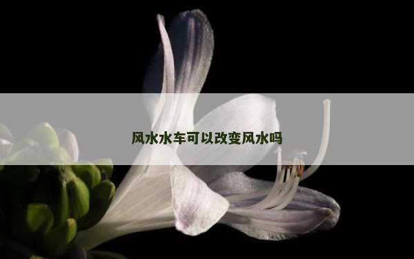 风水水车可以改变风水吗