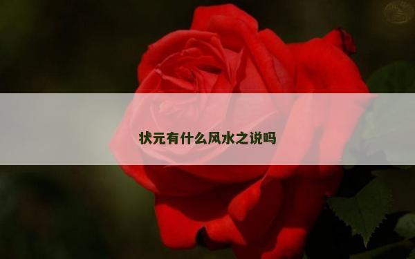 状元有什么风水之说吗