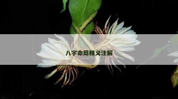 八字命局精义注解