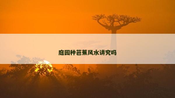 庭园种芭蕉风水讲究吗