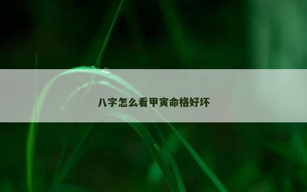 八字怎么看甲寅命格好坏
